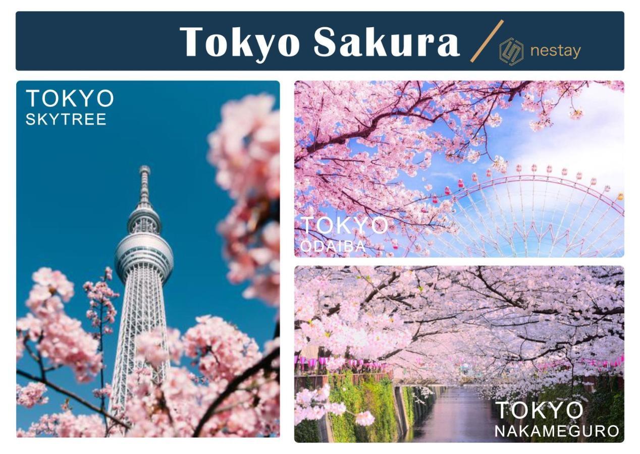 Nestay Kagurazaka 01 * Tokio